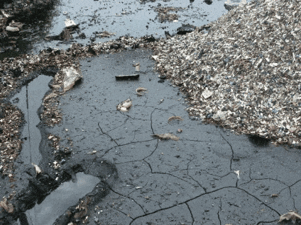 大自然孕育1厘米适合耕种的土地