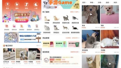 宠物交易平台